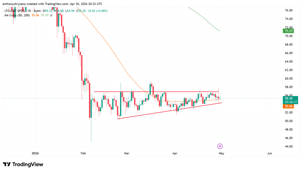 Litecoin shrugs off DoS attack and reclaims level in style Litecoin shrugs off DoS attack and reclaims level in style