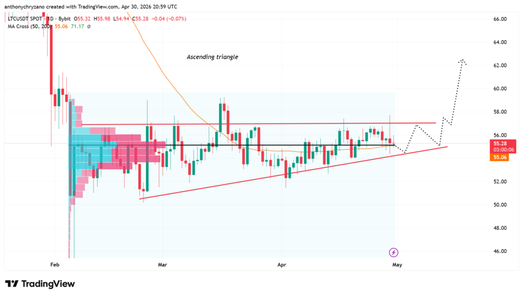 Litecoin shrugs off DoS attack and reclaims level in style Litecoin shrugs off DoS attack and reclaims level in style