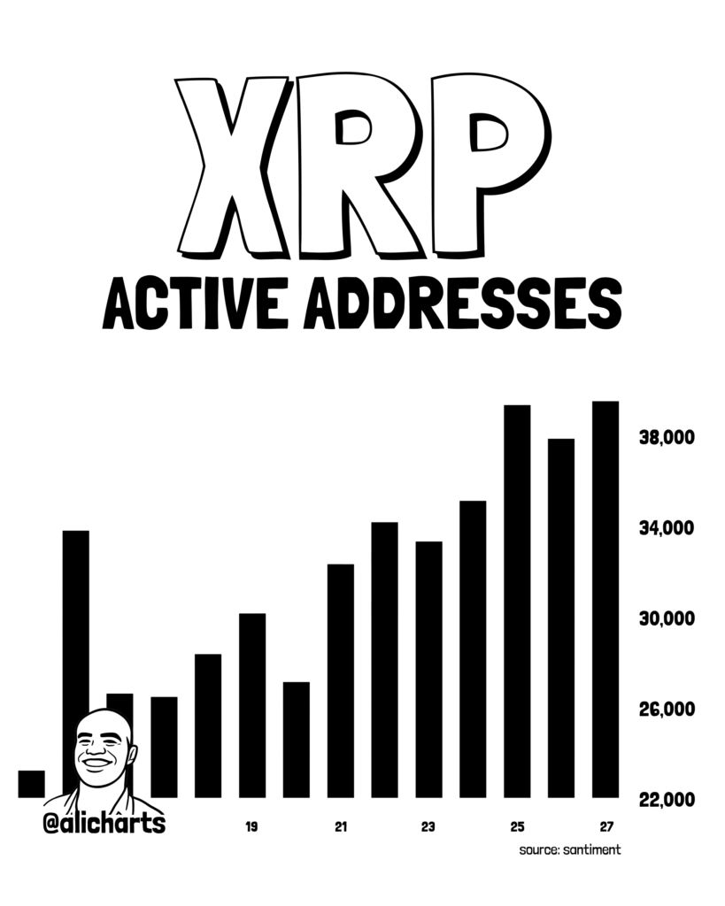 XRP at a crossroads as bullish signals clash with whale selling XRP addresses