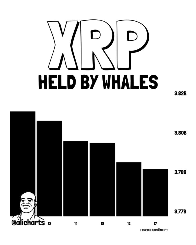 XRP at a crossroads as bullish signals clash with whale selling XRP whales