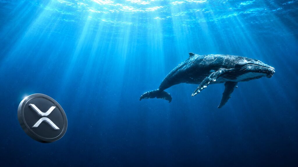 XRP at a crossroads as bullish signals clash with whale selling