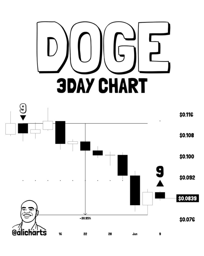 Dogecoin's 31 percent correction may be over as whales pile into 200M DOGE Dogecoin's 31 percent correction may be over as whales pile into 200M DOGE