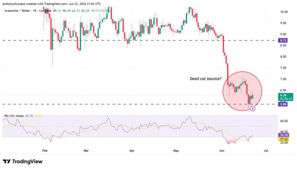 Avalanche transactions surge 6X as AVAX reclaims USD 6—but is it a dead cat bounce? Avalanche transactions surge 6X as AVAX reclaims USD 6—but is it a dead cat bounce?