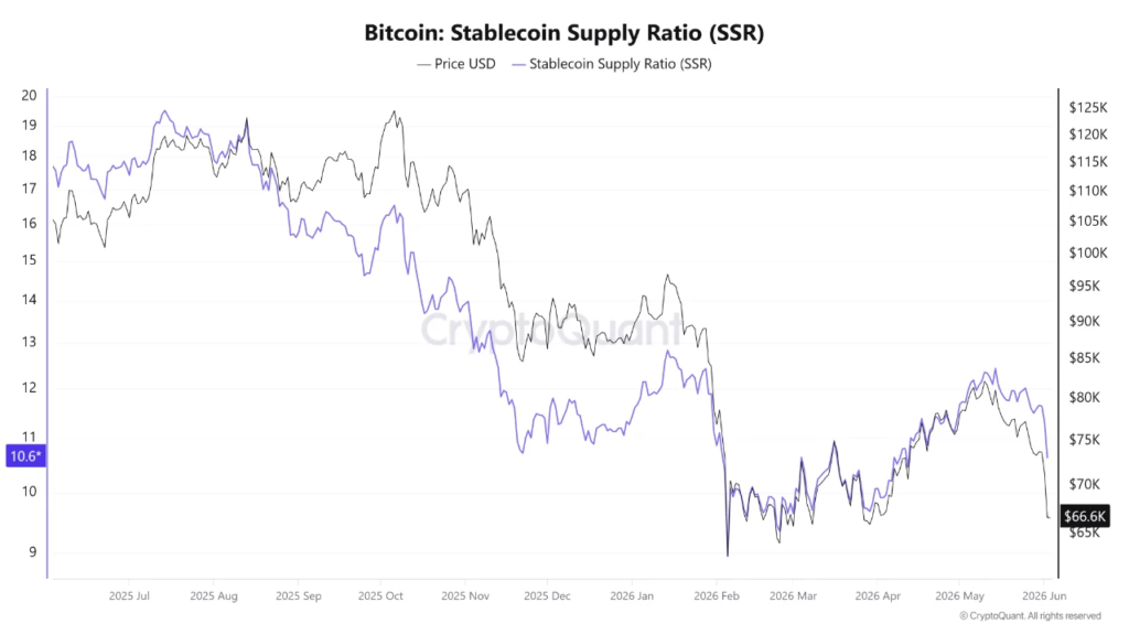 Stablecoins are piling up while Bitcoin falls: Know why Stablecoins are piling up while Bitcoin falls: Know why