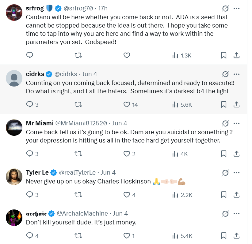 Social media goes berserk after ADA cofounder takes a break; price drops below 20 cents Social media goes berserk after ADA cofounder takes a break; price drops below 20 cents