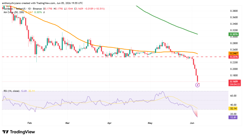 Social media goes berserk after ADA cofounder takes a break; price drops below 20 cents Social media goes berserk after ADA cofounder takes a break; price drops below 20 cents