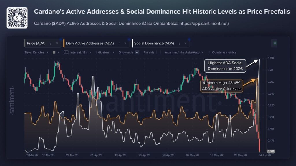 Social media goes berserk after ADA cofounder takes a break; price drops below 20 cents Social media goes berserk after ADA cofounder takes a break; price drops below 20 cents