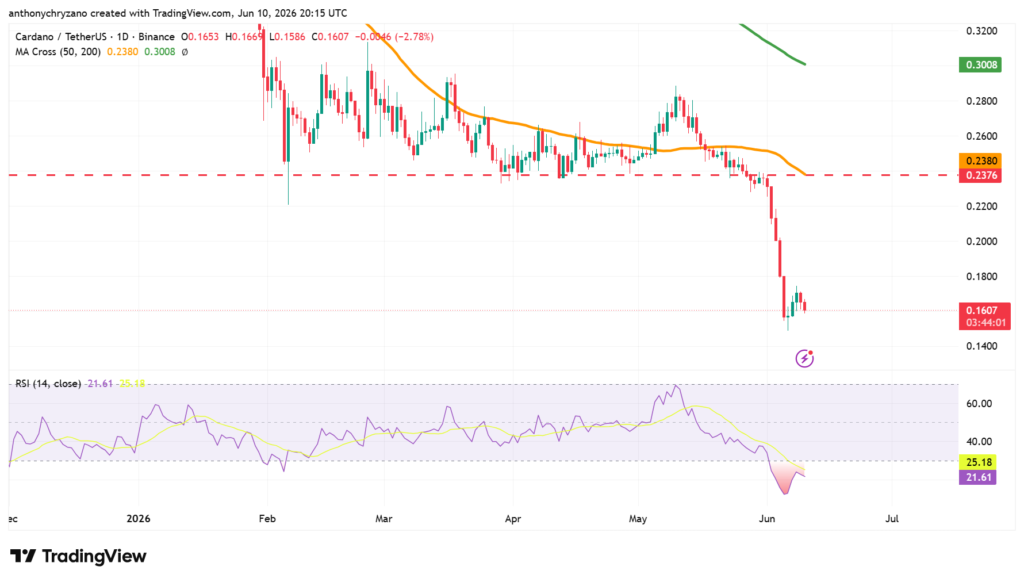 ADA whales awaken as Cardano revisits 2021 pre-bull run levels—a reversal ahead? ADA whales awaken as Cardano revisits 2021 pre-bull run levels—a reversal ahead?