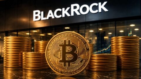 BlackRock IBIT sees 7 straight days of positive Bitcoin ETF BlackRock IBIT sees 7 straight days of positive Bitcoin ETF