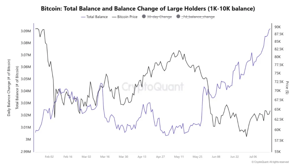 Bitcoin whales accelerate accumulation despite 50 percent price decline Bitcoin