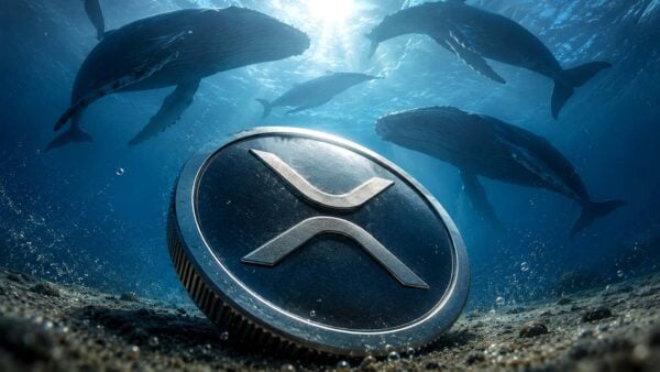 XRP whales load up; retail offloads as new macro trend emerges