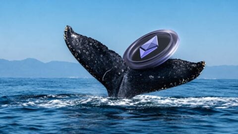 Ethereum whale data points to potential rally after return to profit Ethereum whale data points to potential rally after return to profit
