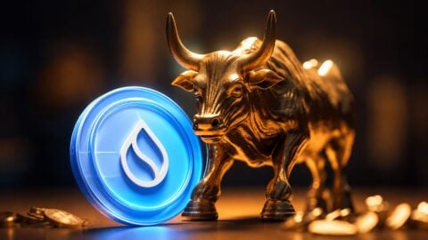 SUI flashes bullish divergence as momentum begins to shift SUI flashes bullish divergence as momentum begins to shift