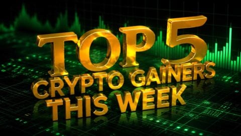 Top 5 crypto gainers this week Top 5 crypto gainers this week