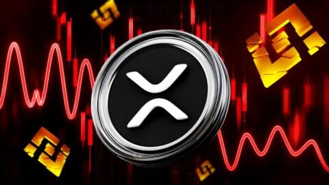 XRP whale activity dries up as Binance flows XRP whale activity dries up as Binance flows