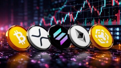 btc,eth,sol,bnb and xrp - July 7, 2026 btc,eth,sol,bnb and xrp - July 7, 2026