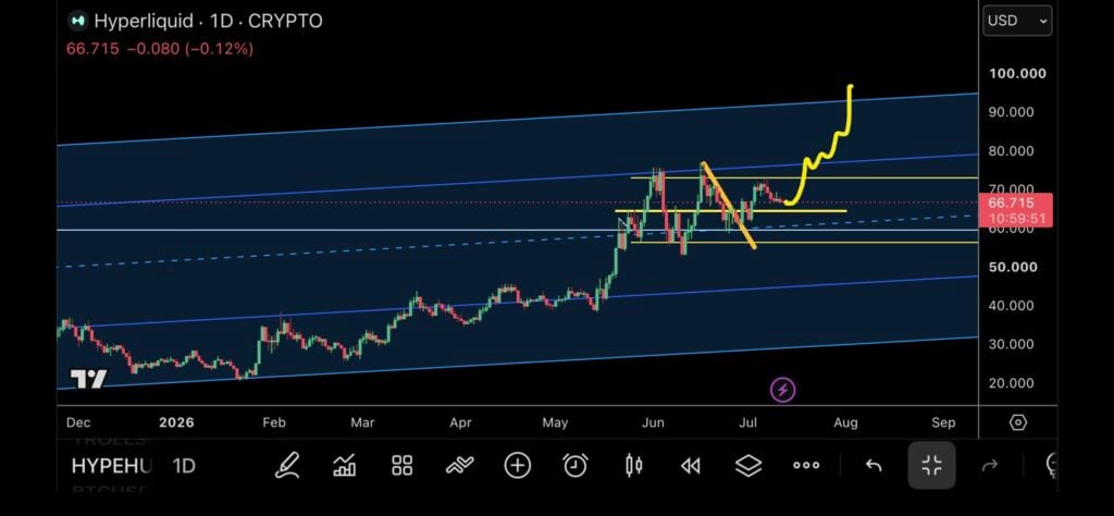 HYPE forms classic bull flag as USD 100 comes back into focus HYPE