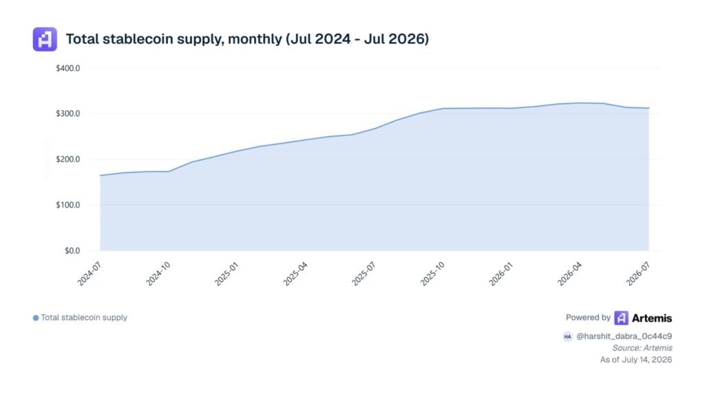 Stablecoin supply stalls near USD 313B while usage keeps rising stablecoin