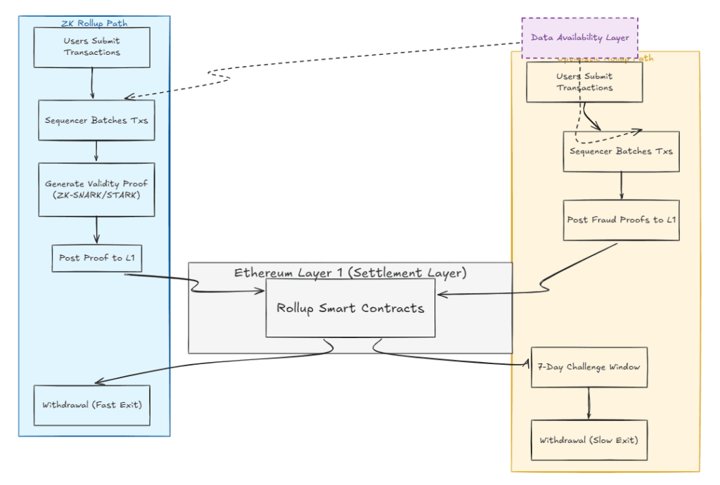 Rollups explained: The upgrade that cut Ethereum fees Rollups explained: The upgrade that cut Ethereum fees