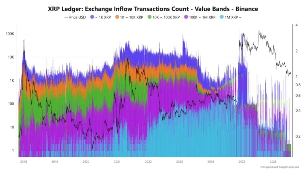 XRP whale activity dries up as Binance flows collapse xrp