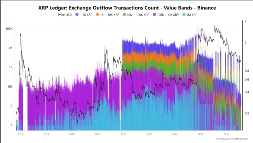XRP whale activity dries up as Binance flows collapse XRP whale activity dries up as Binance flows collapse