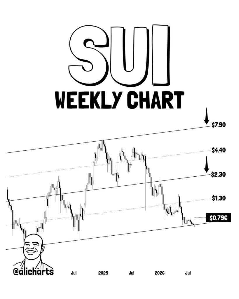 SUI active addresses explode 250 percent amidst major bullish reversal SUI