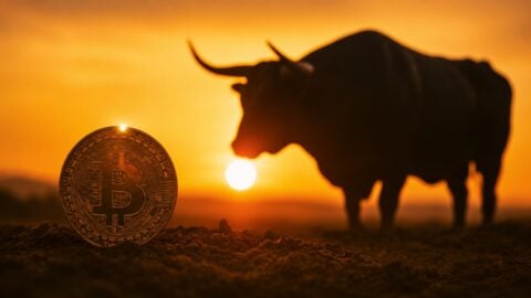 Bitcoin is seeing fewer short-term holders and that could be a bullish signal Bitcoin is seeing fewer short-term holders and that could be a bullish signal