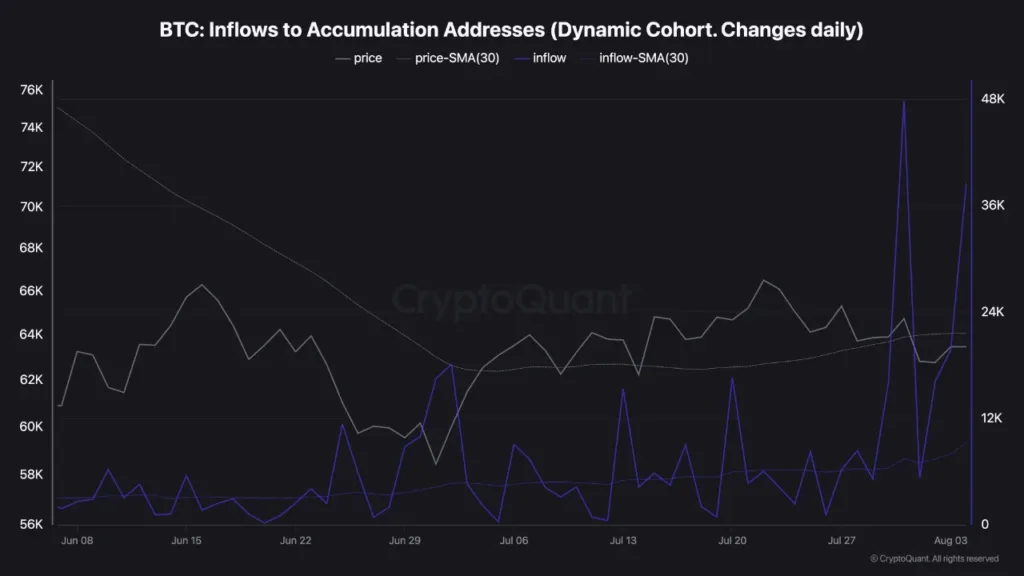Bitcoin whales are accumulating, but USD 70K could be a selling zone bitcoin