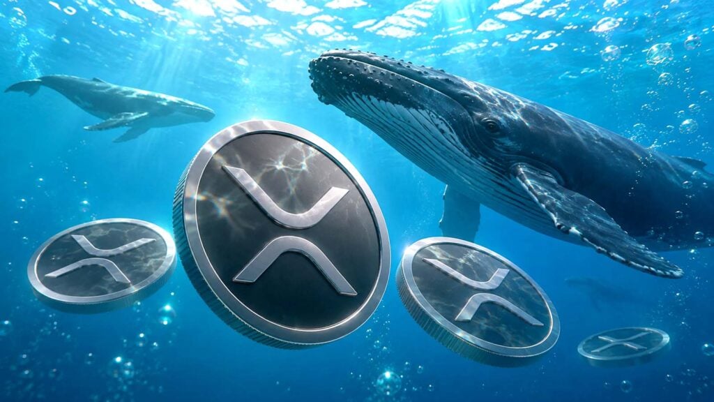 XRP whales position early as a potential reversal takes shape
