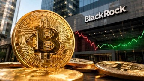 BlackRock stays bullish on Bitcoin despite 50% crash: report