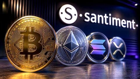 Crypto’s August rally was a queue, not a crowd, Santiment data shows