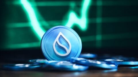 SUI active addresses explode 250 percent amidst major bullish reversal SUI active addresses explode 250 percent amidst major bullish reversal