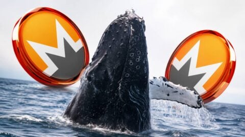 XMR whale makes massive long bet, betting on a rally toward USD 516 XMR whale makes massive long bet, betting on a rally toward USD 516