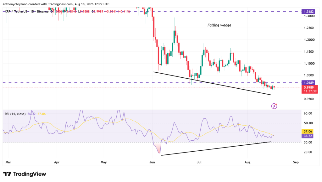 XRP whales position early as a potential reversal takes shape XRP whales position early as a potential reversal takes shape