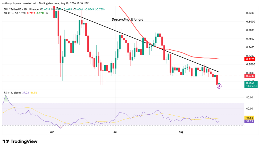 Sui network activity hits record high as SUI falls below key support Sui network activity hits record high as SUI falls below key support