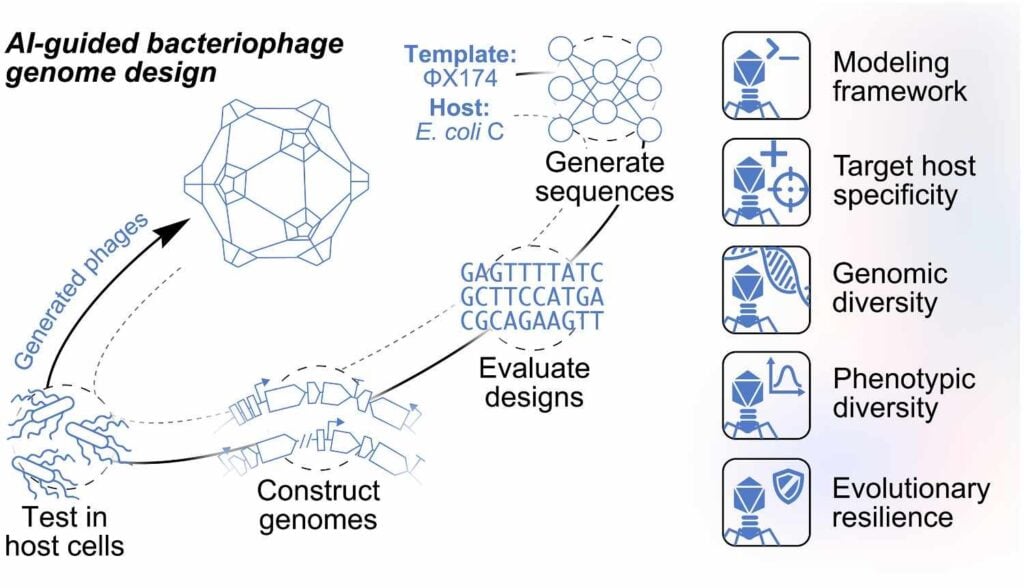 From designing vaccines to creating viruses, AI is reshaping both sides of biology From designing vaccines to creating viruses, AI is reshaping both sides of biology